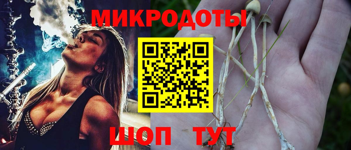 Галлюциногенные грибы мухоморы  Псилоцибиновые грибы мицелий  Черногорск  Вход с VPN 